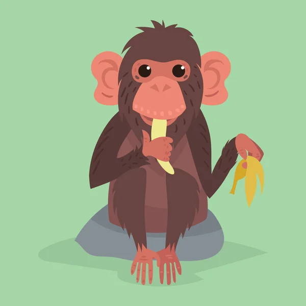 Caráter de macaco bonito animal zoológico selvagem macaco chimpanzé vetor ilustração . —  Vetores de Stock