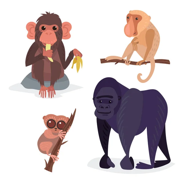 Personagem de macaco de pães diferentes animal zoológico selvagem macaco chimpanzé vetor ilustração . —  Vetores de Stock