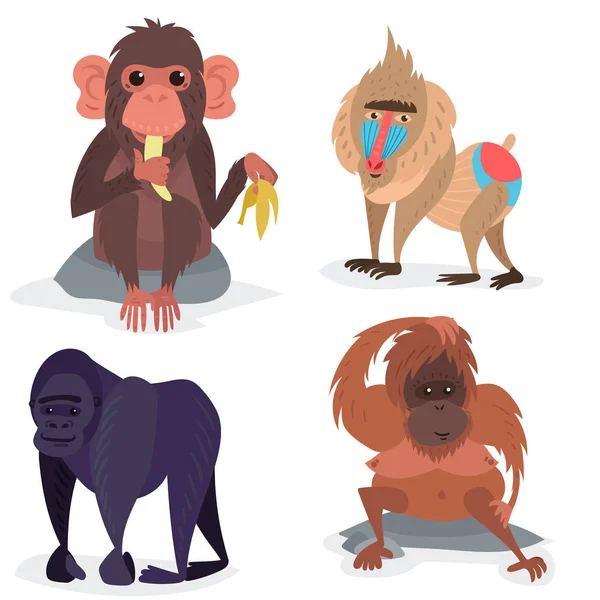 Différents pains singe personnage animal zoo sauvage singe chimpanzé vecteur illustration . — Image vectorielle