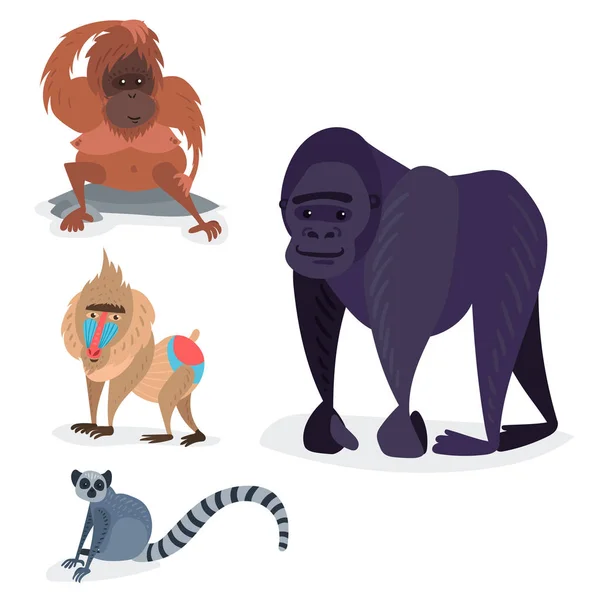 Different breads monkey character animal wild zoo ape chimpanzee vector illustration. — Stock Vector