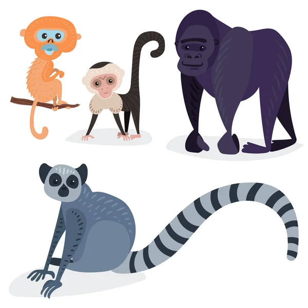 Different breads monkey character animal wild zoo ape chimpanzee vector illustration. — Stock Vector