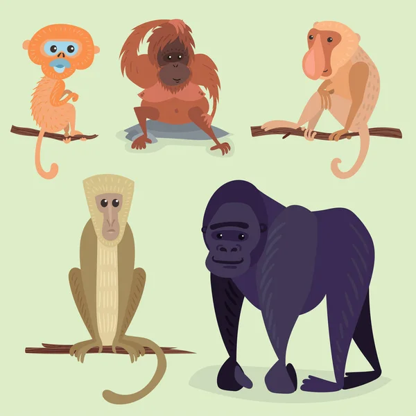 不同的面包猴子字符动物的野生动物园大猩猩黑猩猩矢量图. — 图库矢量图片