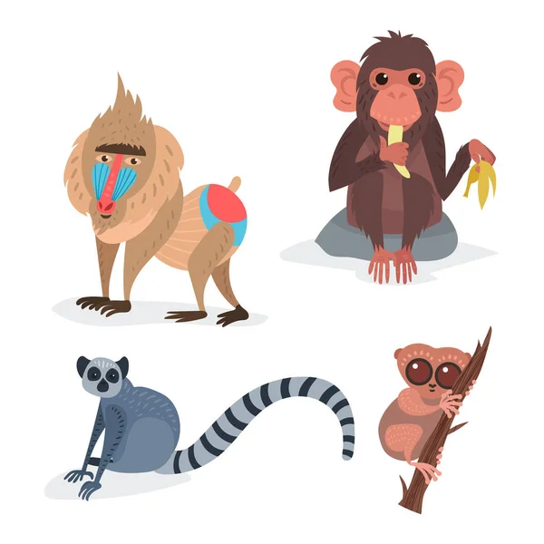 Different breads monkey character animal wild zoo ape chimpanzee vector illustration. — Stock Vector