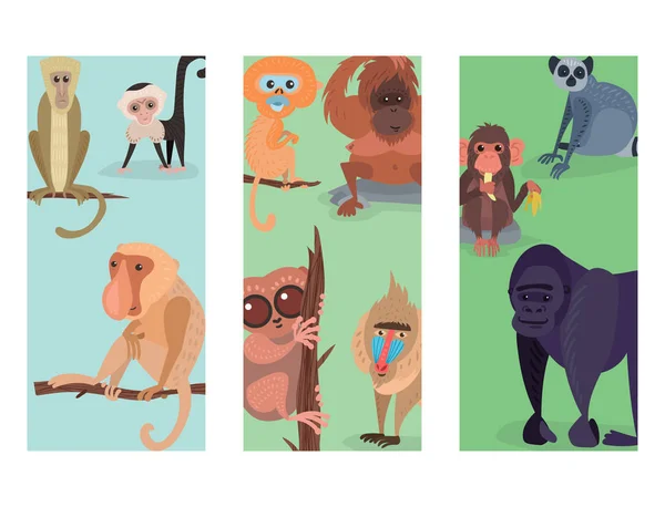 Different breads monkey print cards character animal wild zoo ape chimpanzee vector illustration. — Stock Vector