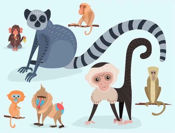 Personagem de macaco de pães diferentes animal zoológico selvagem macaco chimpanzé vetor ilustração . —  Vetores de Stock