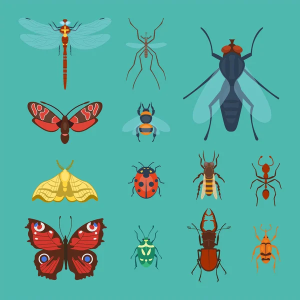 Kolorowe owady ikony na białym tle przyrody skrzydło detal lato błędów dziki wektor ilustracja — Wektor stockowy