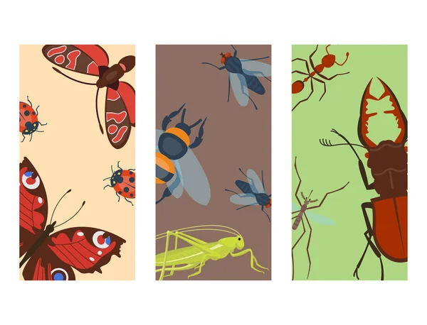 Coloridos insectos iconos vida silvestre ala detalle insectos de verano vector salvaje ilustración — Archivo Imágenes Vectoriales