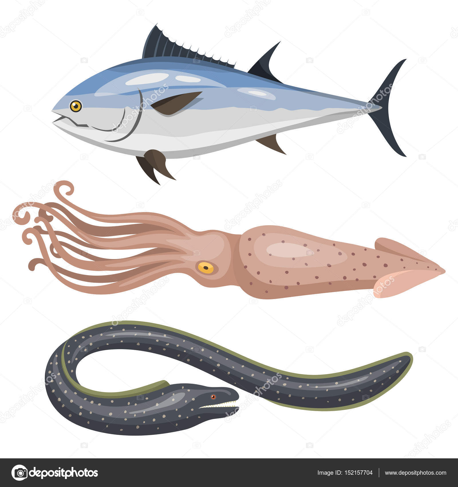 Set of different types of sea animals illustration tropical character wildlife marine aquatic fish Stock Vector Image by ©vectordreamsmachine #152157704 Set of different types of sea animals illustration tropical character wildlife marine aquatic fish Stock Vector Image by ©vectordreamsmachine #152157704