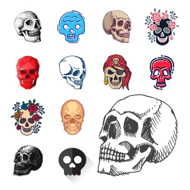 Farklı bir stil kafatasları yüzler vektör illüstrasyon halloween korku tarzı dövme anatomi sanat.