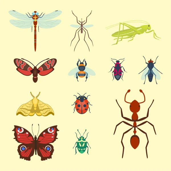 Coloridos insectos iconos aislados ala fauna detalle insectos de verano vector salvaje ilustración — Archivo Imágenes Vectoriales