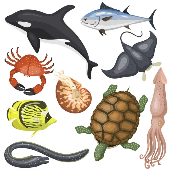 Deniz hayvanlar illüstrasyon tropikal karakter yaban hayatı deniz su balıkları farklı türleri — Stok Vektör