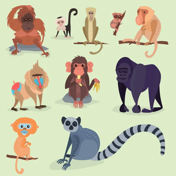 Verschillende broodjes aap karakter dierlijke wild dierentuin aap chimpansee vectorillustratie. — Stockvector