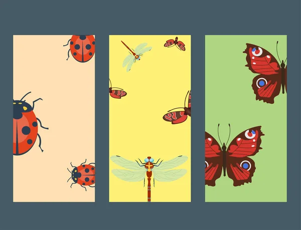 Coloridos insectos iconos vida silvestre ala detalle insectos de verano vector salvaje ilustración — Archivo Imágenes Vectoriales