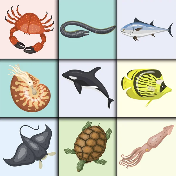 Set van verschillende soorten dieren illustratie tropisch karakter wildlife mariene aquatische zeevis — Stockvector