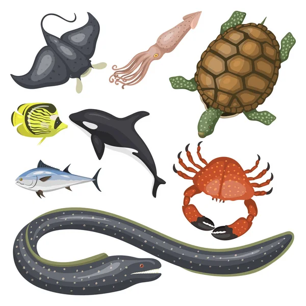 Set von verschiedenen Arten von Meerestieren Illustration tropischen Charakter Tierwelt marine aquatische Fische — Stockvektor