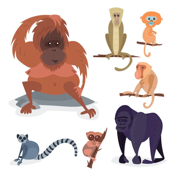 Different breads monkey character animal wild zoo ape chimpanzee vector illustration. — Stock Vector