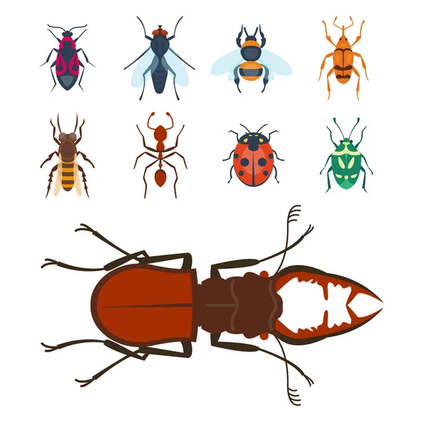 Bunte Insekten Symbole isoliert Wildtiere Flügel Detail Sommer Käfer wilde Vektor Illustration — Stockvektor