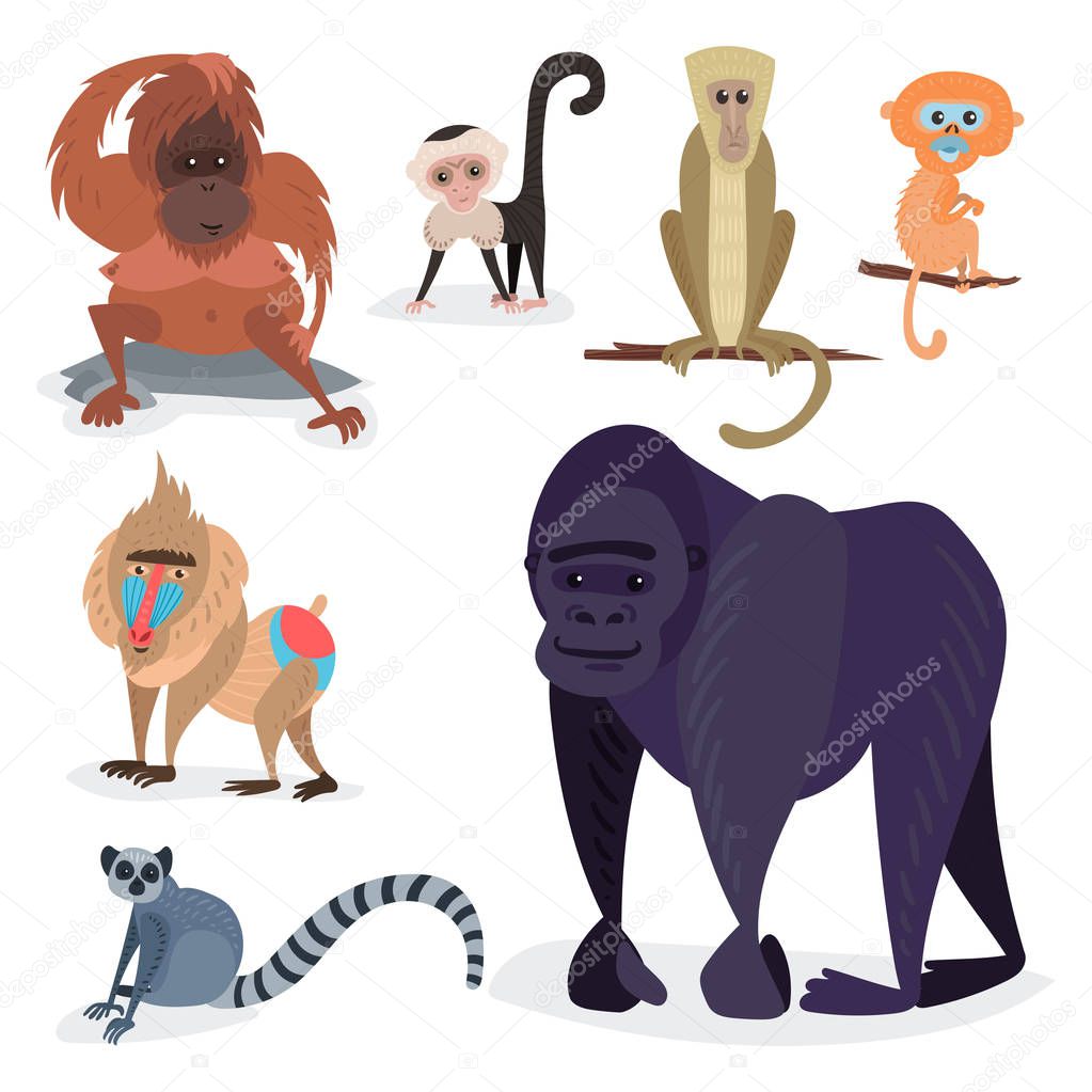 Different breads monkey character animal wild zoo ape chimpanzee vector illustration.