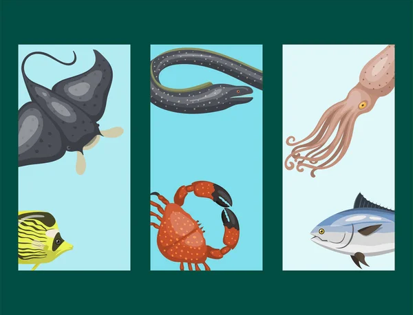 Set von verschiedenen Arten von Meerestieren Karten Illustration tropischen Charakter Tierwelt marine aquatische Fische — Stockvektor