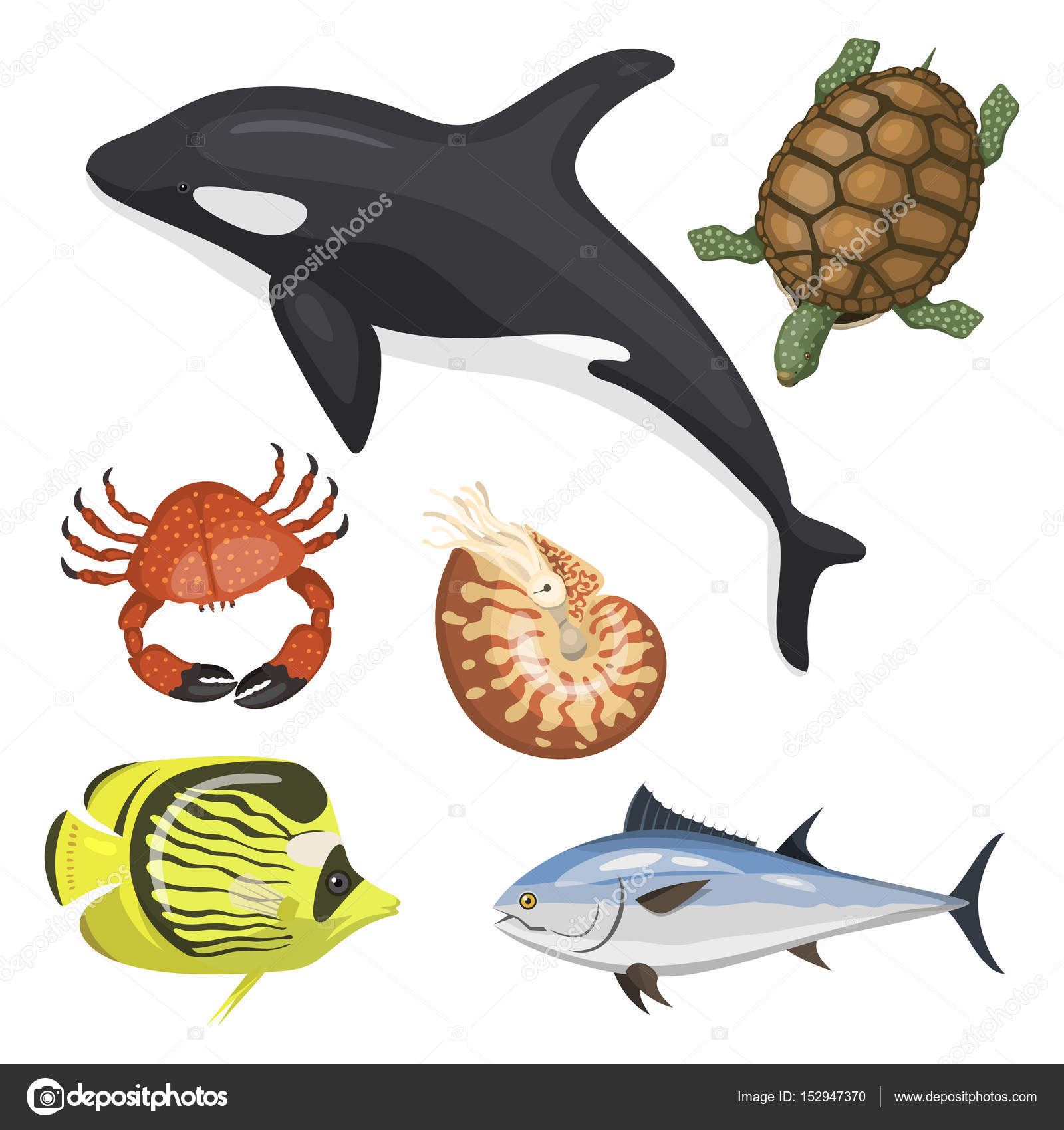 Set di tipi diversi di mare animali illustrazione tropicale carattere fauna acquatica disegno variopinti pesci marini Fauna d arte esotica carina di