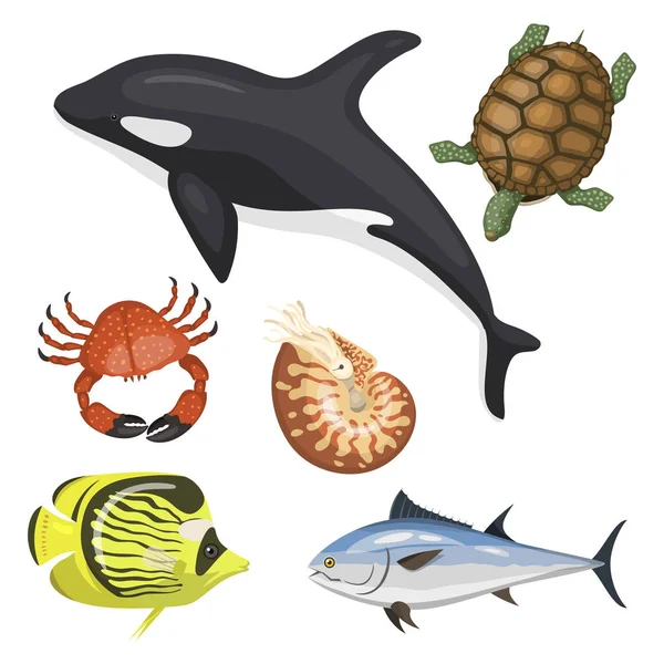 Set von verschiedenen Arten von Meerestieren Illustration tropischen Charakter Tierwelt marine aquatische Fische — Stockvektor