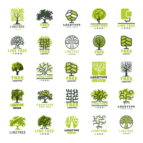 Baum Reisen im Freien grüne Silhouette Wald Abzeichen Nadelholz natürliche Logo Abzeichen Kollektion Linie Fichte Vektor. — Stockvektor