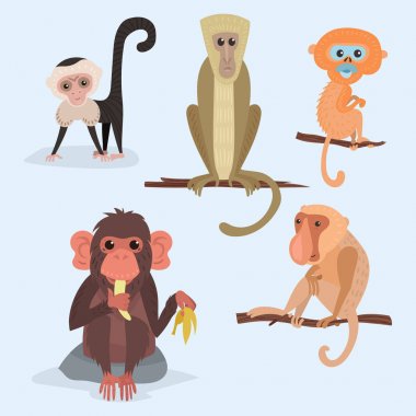 Farklı ekmek karakter vahşi hayvan Hayvanat Bahçesi maymun şempanze vektör çizim maymun.