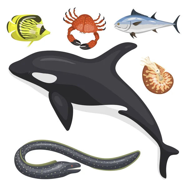 Set von verschiedenen Arten von Meerestieren Illustration tropischen Charakter Tierwelt marine aquatische Fische — Stockvektor