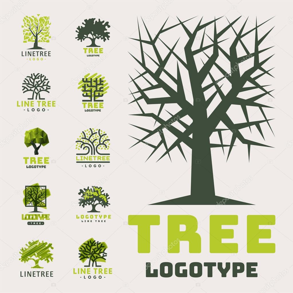 Tree outdoor travel green silhouette forest badge coniferous natural badge tops line spruce vector.