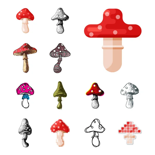 Amanita fly agaric toadstool cogumelos fungo diferente arte estilo design vetor ilustração vermelho chapéu — Vetor de Stock