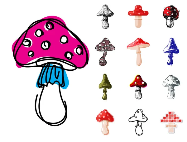 Amanita fly agaric toadstool mushrooms fungus different art style design vector illustration red hat — Stock Vector