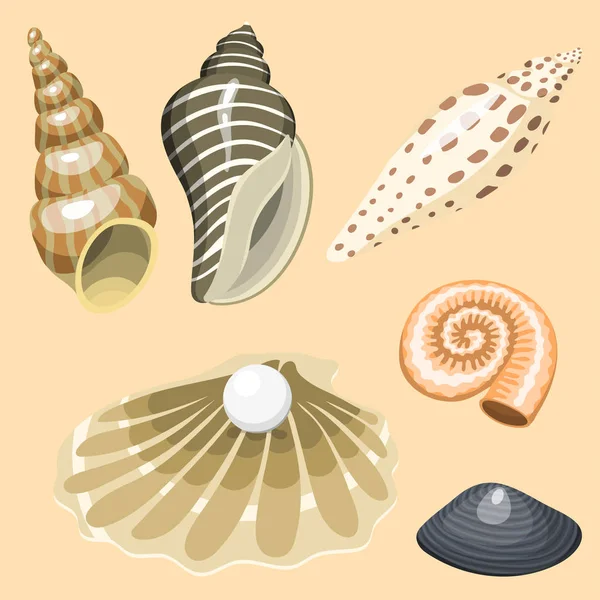 Zee mariene dieren en schelpen souvenirs cartoon vector illustratie spiraal tropische weekdier Mossel decoratie — Stockvector