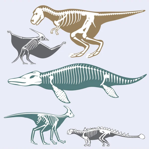 Dinosaurios esqueletos siluetas conjunto hueso fósil tiranosaurio prehistórico animal dino hueso vector plano ilustración . — Vector de stock