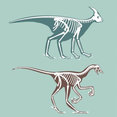 Dinozor iskeletleri siluetleri fosil kemik tyrannosaurus Tarih öncesi hayvan dino kemik vektör düz şekilde ayarla.