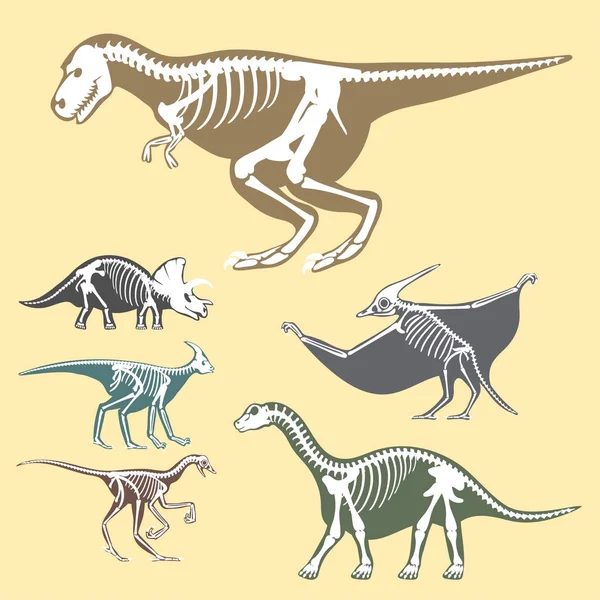 Dinosaures squelettes silhouettes ensemble fossile os tyrannosaure préhistorique animal dino os vecteur plat illustration . — Image vectorielle