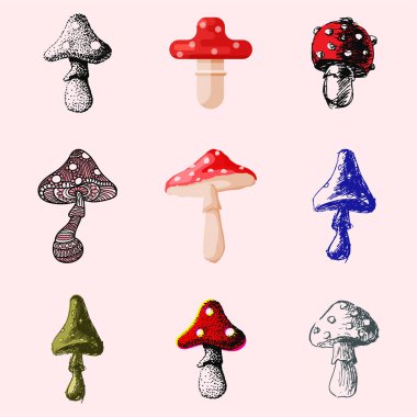 Amanita sinek agaric mantarı mantar mantar farklı sanat tarzı tasarım vektör illüstrasyon kırmızı şapka