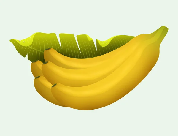 Frutos de banana amarelos maduros realista suculento vetor saudável ilustração vegetariano dieta frescura tropical lanche sobremesa . — Vetor de Stock