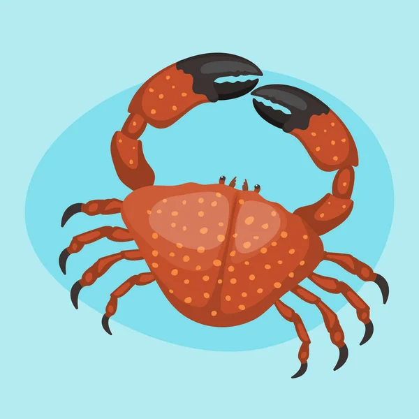 Dibujos animados cangrejo vector plano ilustración fresco marisco icono lindo rojo vida marina animal carácter — Vector de stock