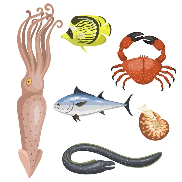 Serie di diversi tipi di animali marini illustrazione carattere tropicale fauna marina pesci acquatici — Vettoriale Stock