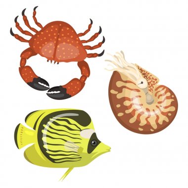 Deniz hayvanlar illüstrasyon tropikal karakter yaban hayatı deniz su balıkları farklı türleri