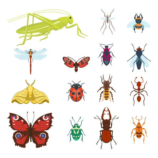 Барвисті комахи ікони ізольовані крила дикої природи деталі літні жуки дикі Векторні ілюстрації — стоковий вектор
