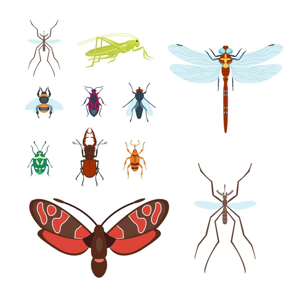 Coloridos insectos iconos aislados ala fauna detalle insectos de verano vector salvaje ilustración — Archivo Imágenes Vectoriales