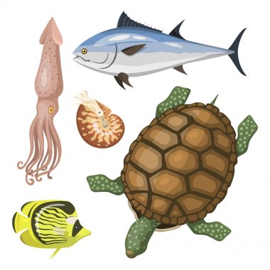 Deniz hayvanlar illüstrasyon tropikal karakter yaban hayatı deniz su balıkları farklı türleri