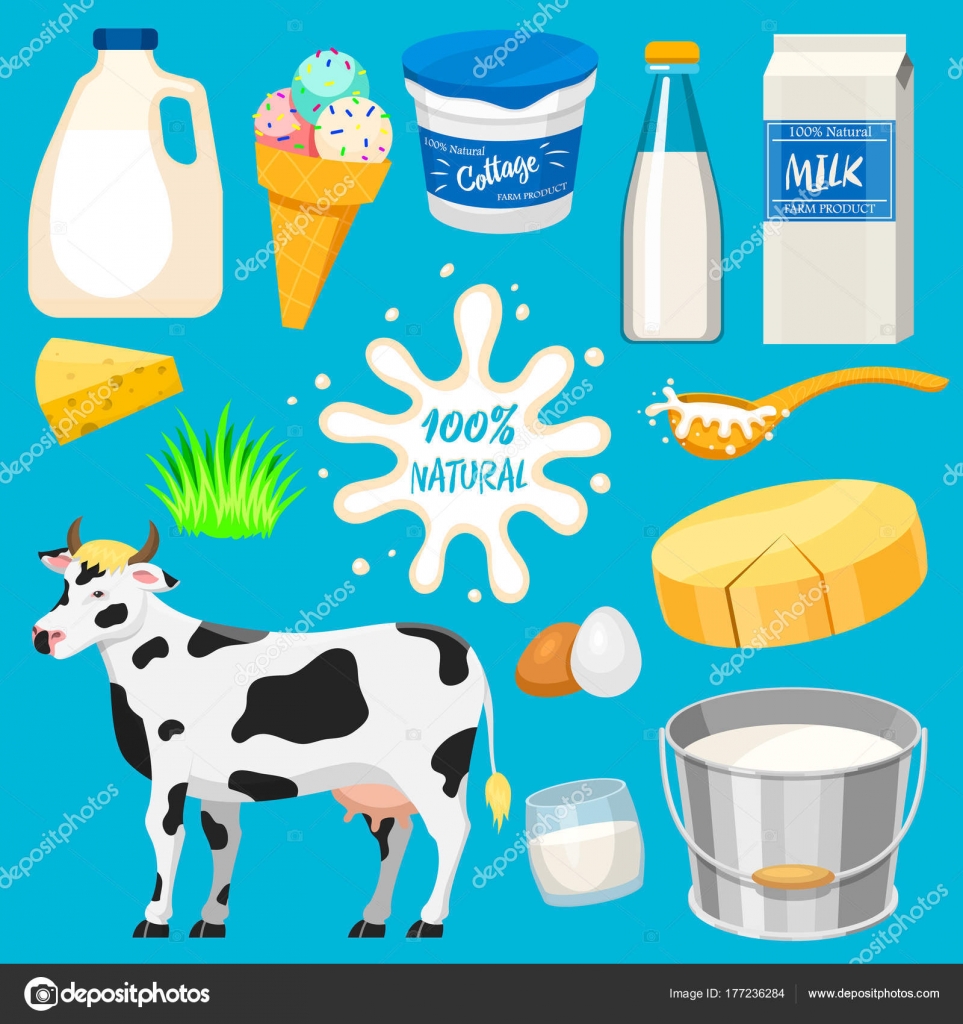 Dairy milk products vector natural food calcium milky dairying production cheese yogurt cottage and sour cream or icecream cow on milky farm illustration isolated on blue background Stock Vector Image by ©vectordreamsmachine #