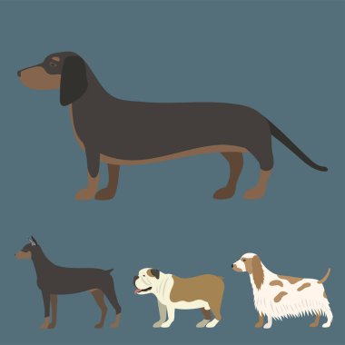 Komik karikatür köpek karakteri ekmek düz stil köpek evde beslenen hayvan hayvan köpek vektör çizim.