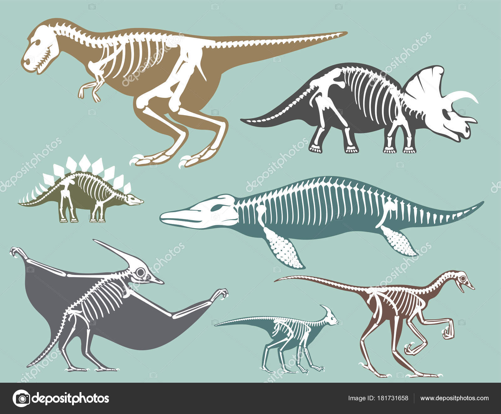 Esqueleto Dino Desenhos Animados Ossos Fósseis Dinossauros Antigos