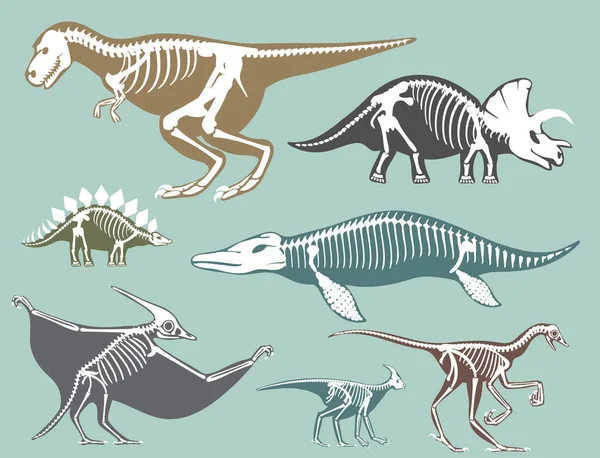 Dinosaurier Skelette Silhouetten setzen fossile Knochen Tyrannosaurus prähistorischen Tier Dino Knochenvektor flache Abbildung. — Stockvektor