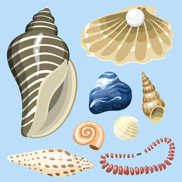 Havet marina djur och skal souvenirer tecknade vektor illustration spiral tropiska mollusk mussla dekoration — Stock vektor