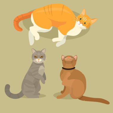 Kedi gibi resimde farklı kedi sevimli kedicik evde beslenen hayvan karikatür sevimli hayvan cattish karakter kümesi
