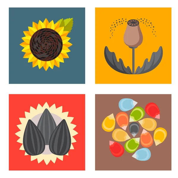 Sementes de cereais produto de grão emblema vetor logotipo modelos conjunto planta natural muesli granulado farinha de mingau orgânico ilustração . —  Vetores de Stock